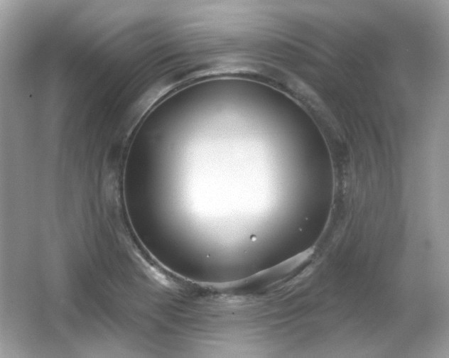 X0000066951177200603271159