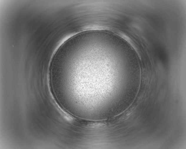 X0000066951187200603271159