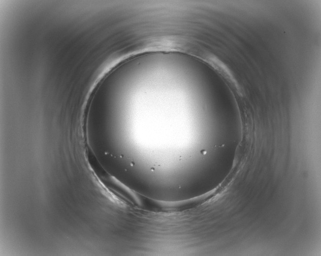 X0000066951192200603271159