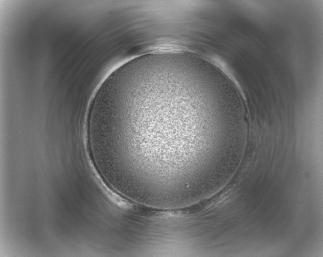 X0000066951195200603271159