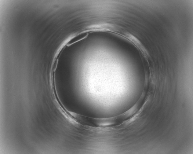 X0000066951196200603271159