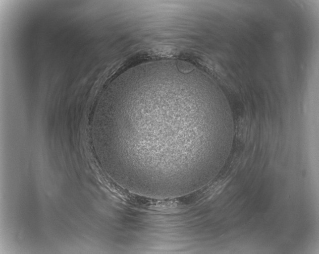 X0000066951201200603271158