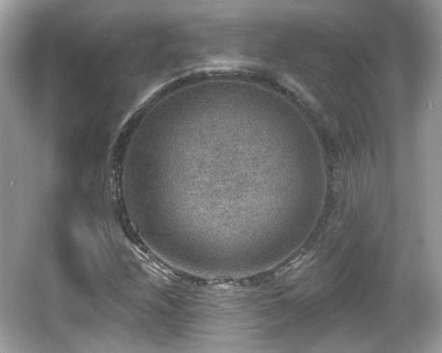X0000066951208200603271158