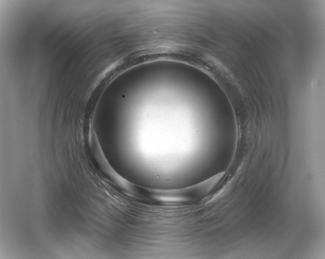 X0000066951210200603271158