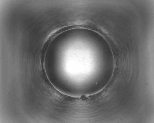 X0000066951214200603271158