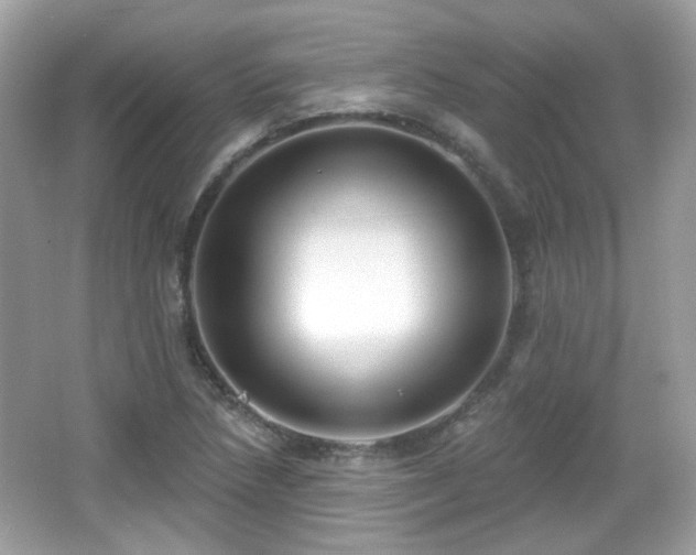 X0000066951218200603271158
