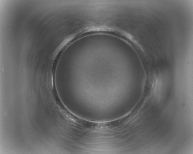 X0000066951221200603271158