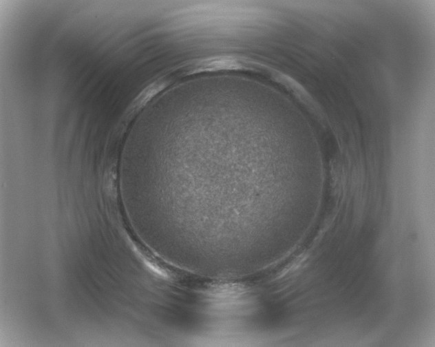 X0000066951225200603271158