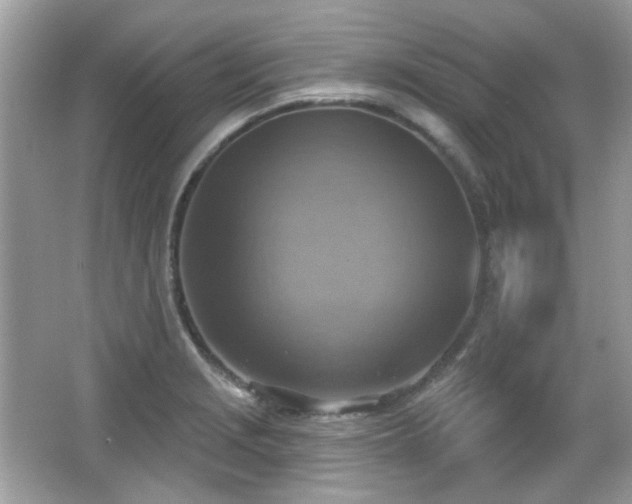 X0000066951229200603271158