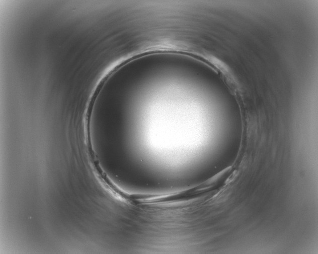 X0000066951238200603271158