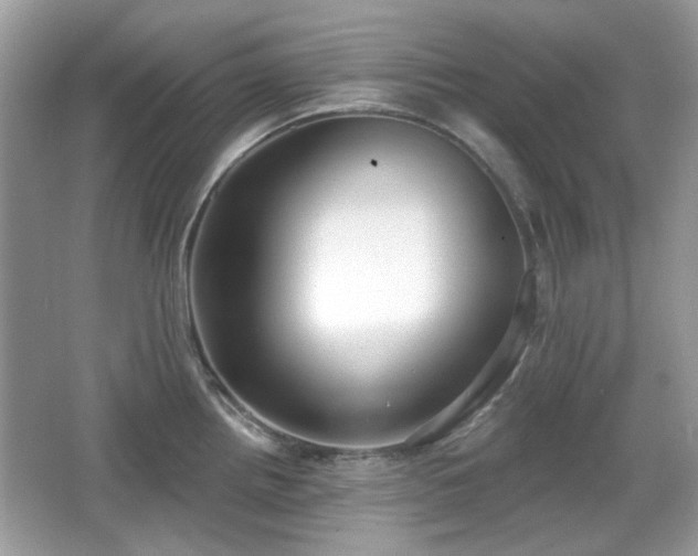 X0000066951242200603271158