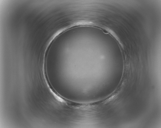 X0000066951245200603271158