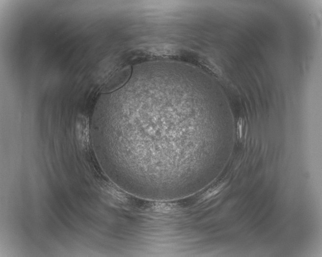 X0000066951251200603271158