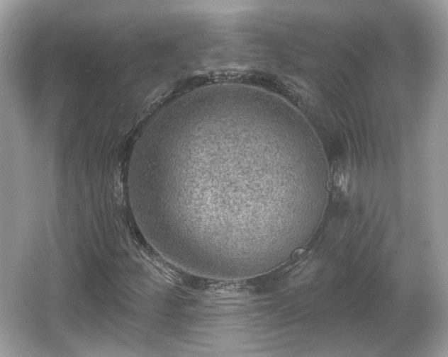 X0000066951252200603271158