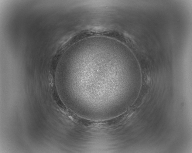X0000066951253200603271158