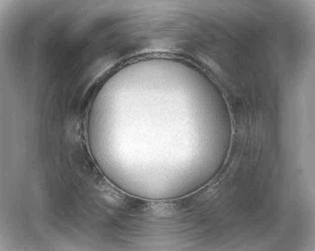 X0000066951258200603271158