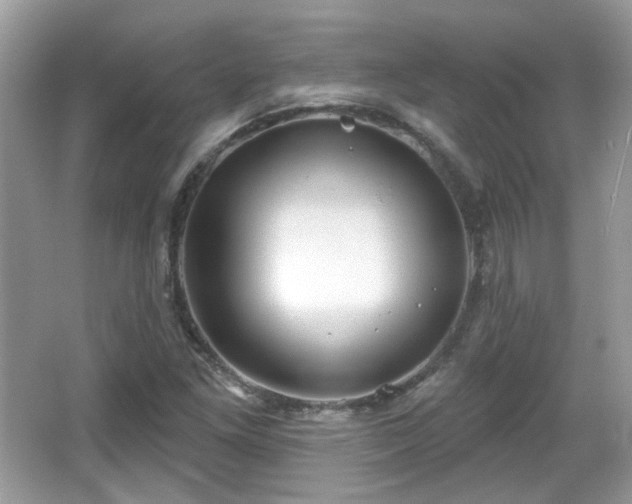 X0000066951261200603271158