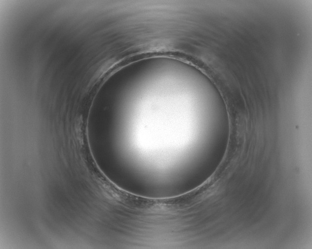 X0000066951265200603271157
