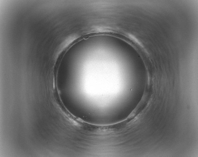 X0000066951269200603271157