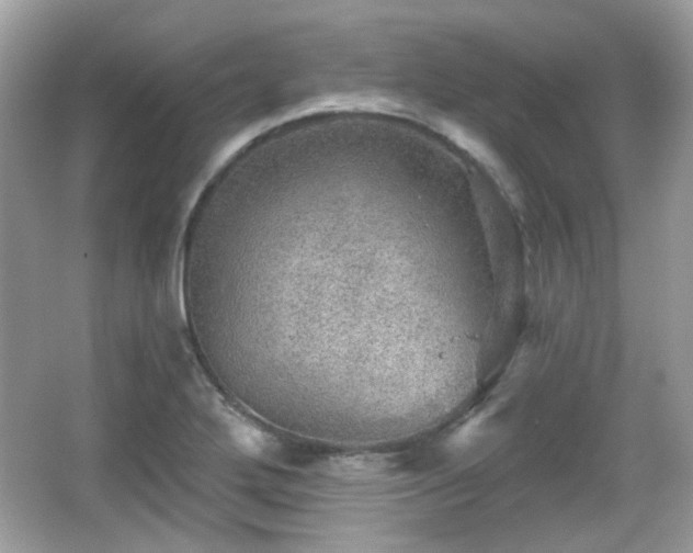 X0000066951272200603271157