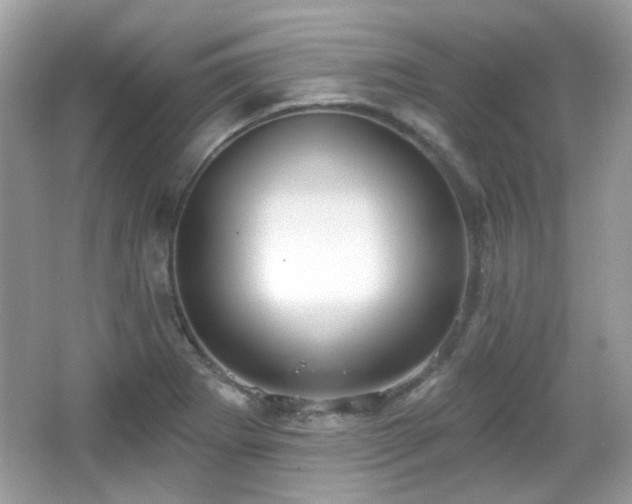 X0000066951273200603271157