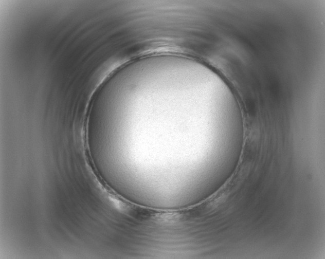 X0000066951282200603271157