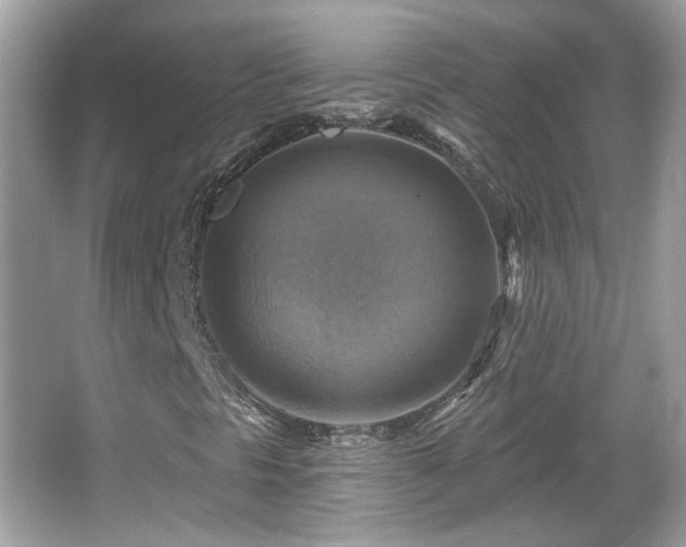 X0000066951297200603271156