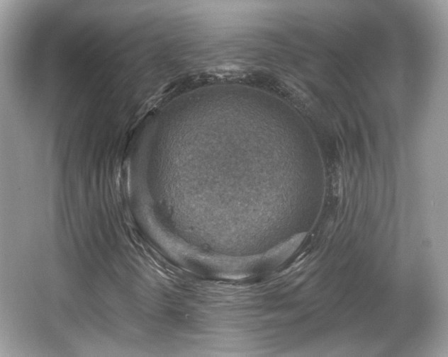 X0000066951298200603271156