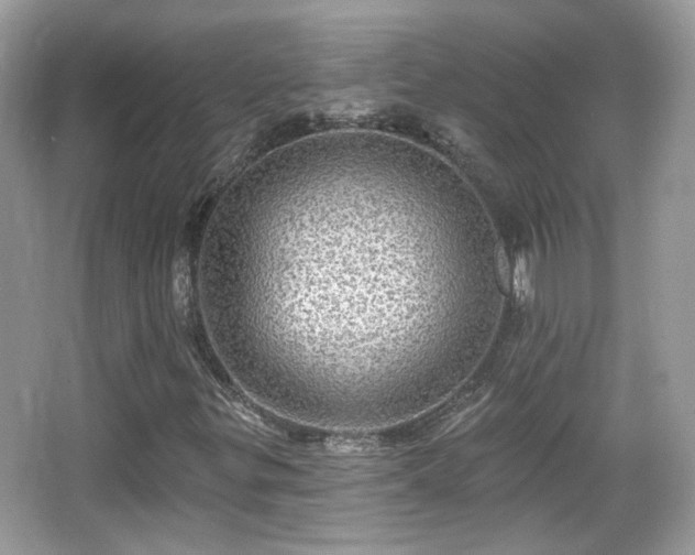 X0000066951299200603271156