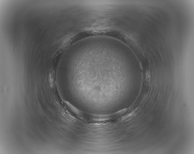 X0000066951300200603271156