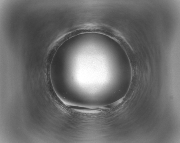 X0000066951304200603271156