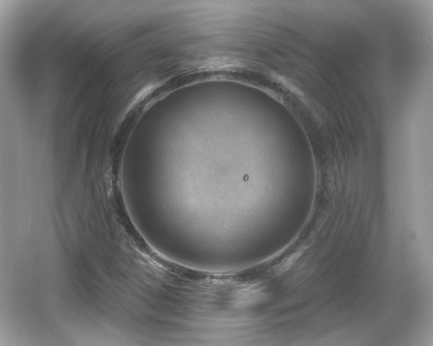 X0000066951306200603271156