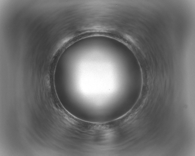 X0000066951307200603271156
