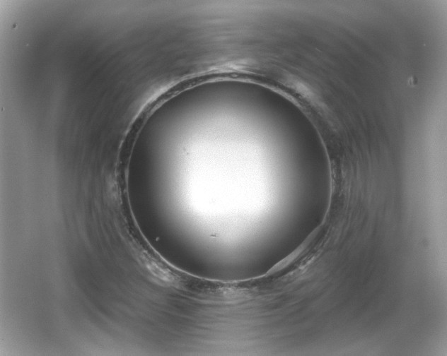X0000066951308200603271156