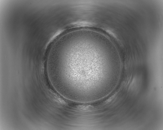 X0000066951309200603271156
