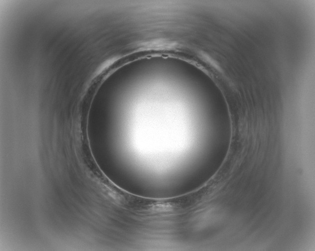 X0000066951315200603271156