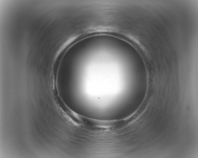 X0000066951317200603271156