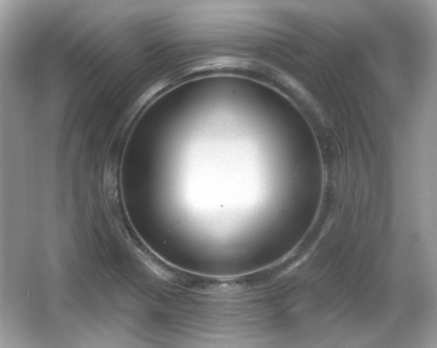 X0000066951321200603271157