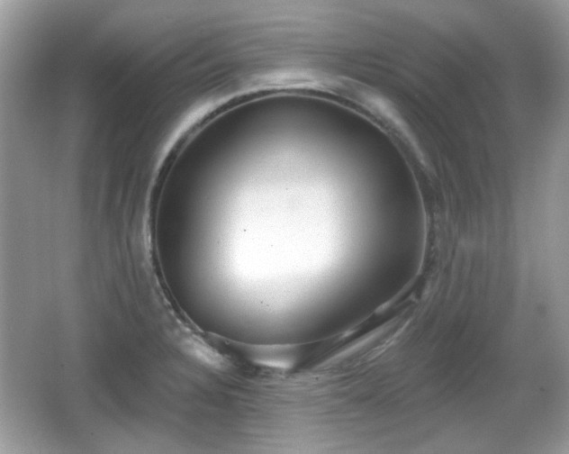 X0000066951328200603271157