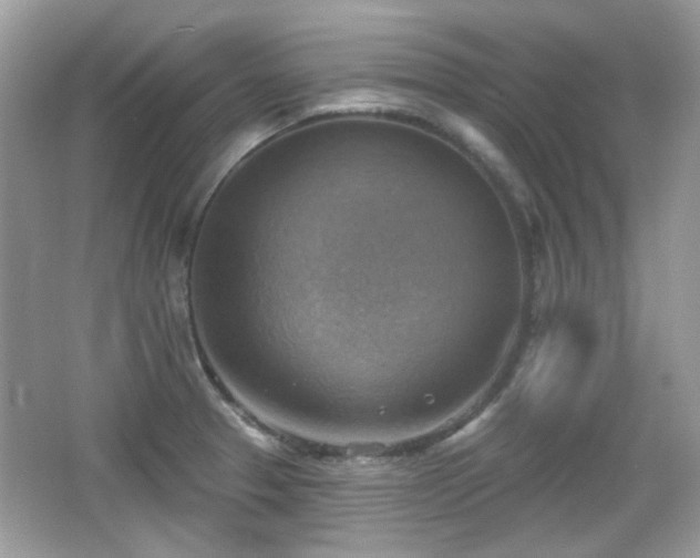 X0000066951329200603271157