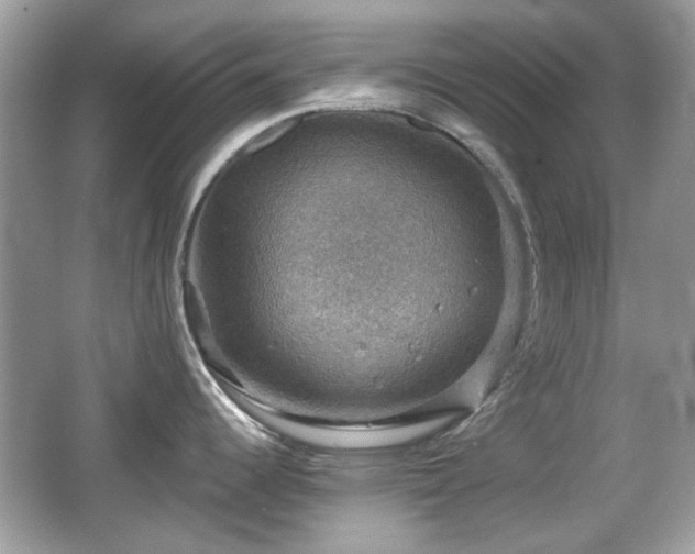 X0000066951344200603271157