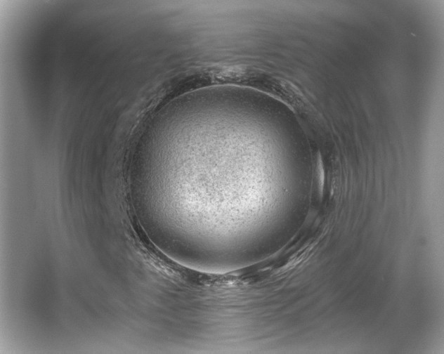 X0000066951345200603271156