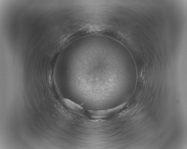 X0000066951348200603271156