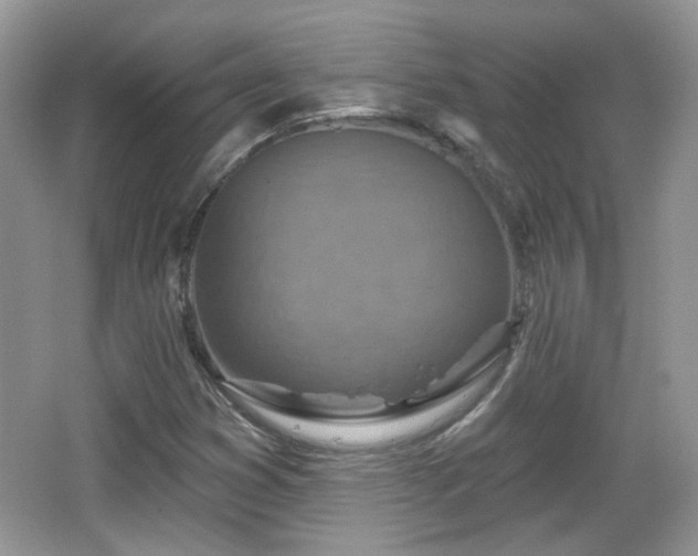 X0000066951353200603271156