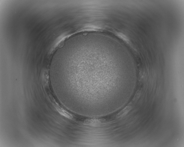 X0000066951355200603271156