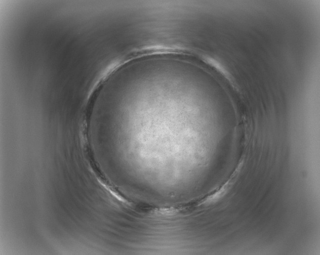 X0000066951357200603271156