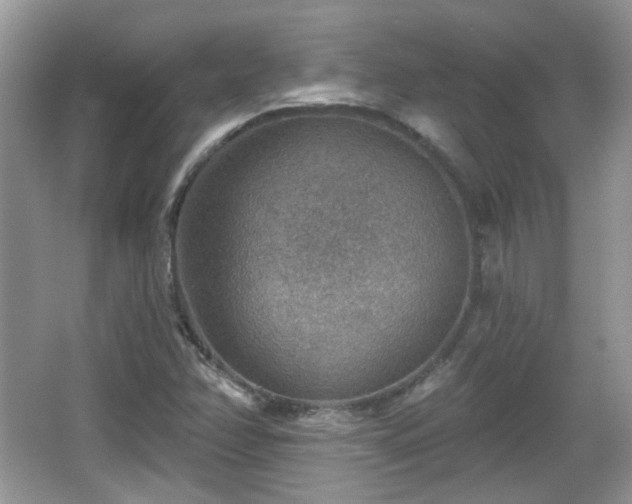 X0000066951358200603271156