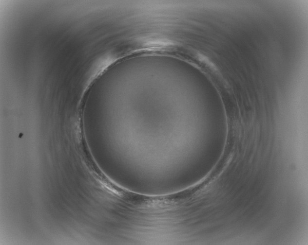 X0000066951362200603271156