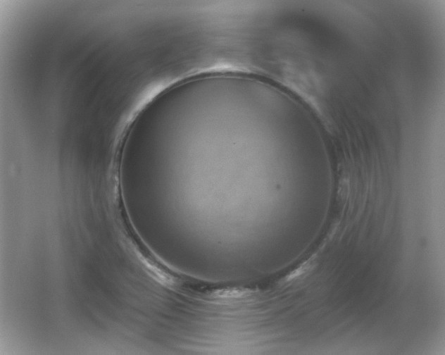 X0000066951367200603271156