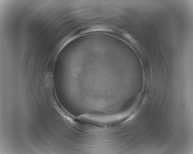 X0000066951369200603271156